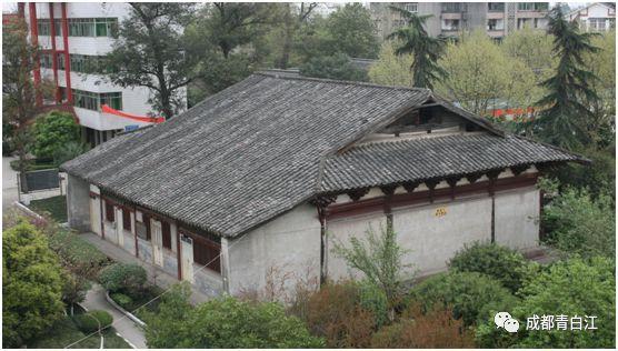 逃出小象森林