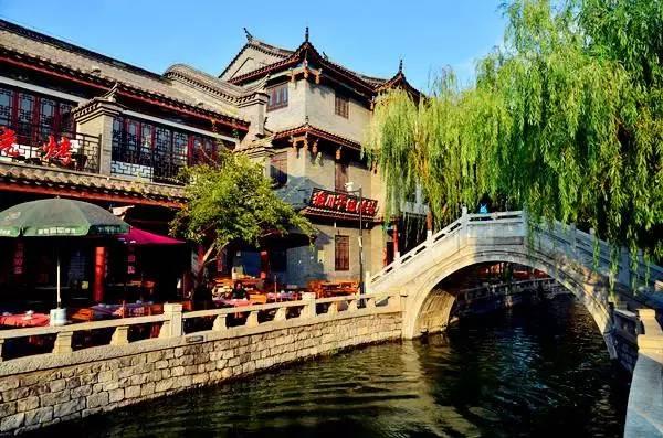 呆萌动物园